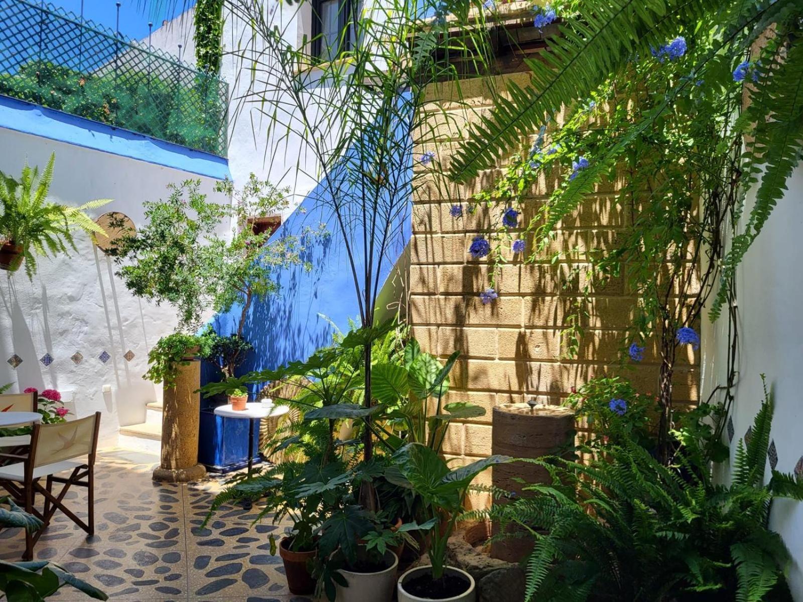 Hostal Casa Alborada コニル・デ・ラ・フロンテラ エクステリア 写真