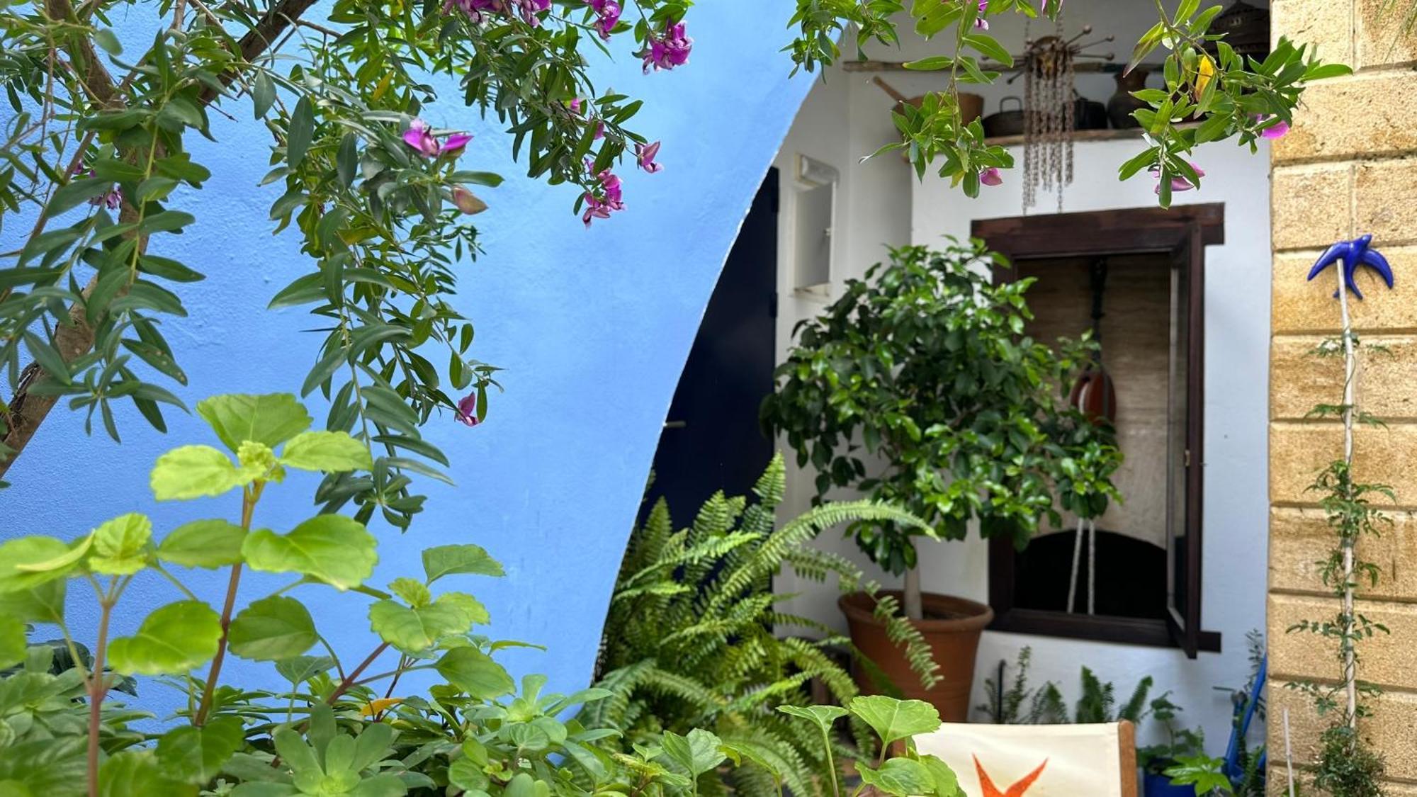Hostal Casa Alborada コニル・デ・ラ・フロンテラ エクステリア 写真